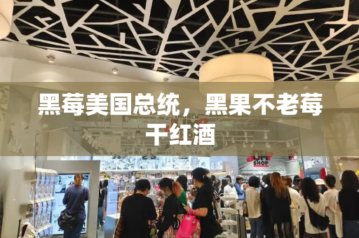 黑莓美国总统，黑果不老莓干红酒