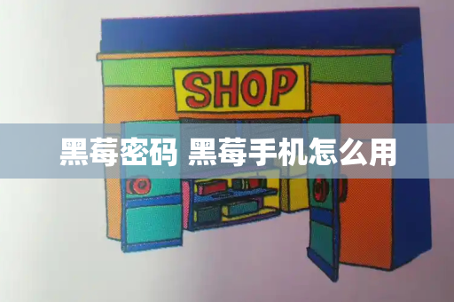 黑莓密码 黑莓手机怎么用-第1张图片-星选测评