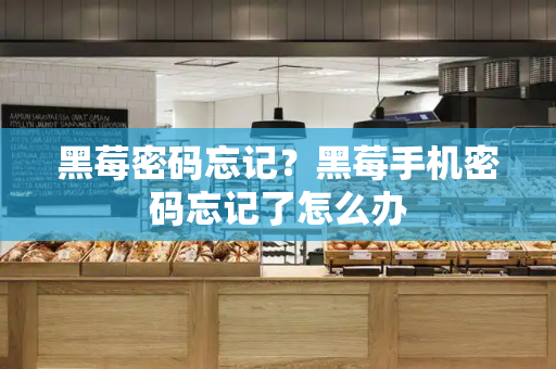 黑莓密码忘记？黑莓手机密码忘记了怎么办