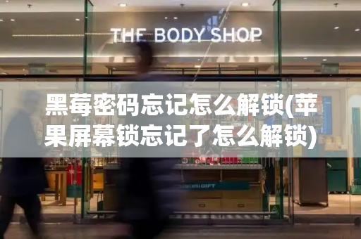 黑莓密码忘记怎么解锁(苹果屏幕锁忘记了怎么解锁)