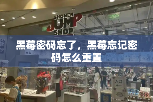 黑莓密码忘了，黑莓忘记密码怎么重置
