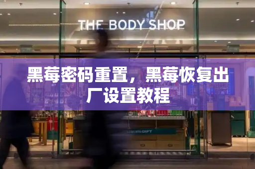 黑莓密码重置，黑莓恢复出厂设置教程-第1张图片-星选测评