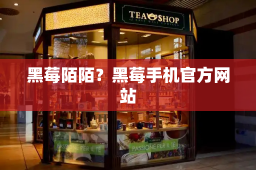 黑莓陌陌？黑莓手机官方网站-第1张图片-星选测评