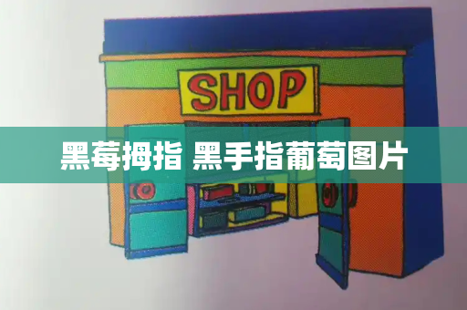 黑莓拇指 黑手指葡萄图片-第1张图片-星选测评