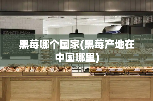 黑莓哪个国家(黑莓产地在中国哪里)-第1张图片-星选测评