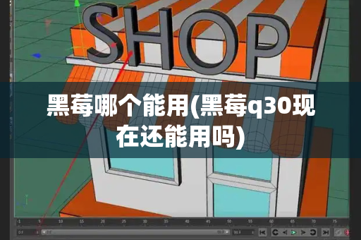 黑莓哪个能用(黑莓q30现在还能用吗)