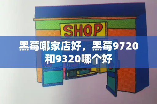 黑莓哪家店好，黑莓9720和9320哪个好-第1张图片-星选测评