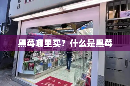 黑莓哪里买？什么是黑莓
