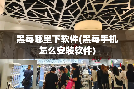 黑莓哪里下软件(黑莓手机怎么安装软件)