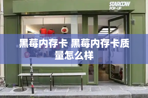 黑莓内存卡 黑莓内存卡质量怎么样