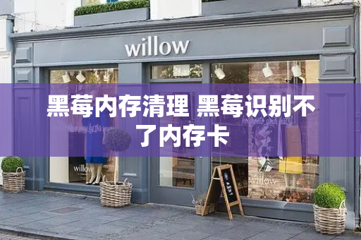 黑莓内存清理 黑莓识别不了内存卡