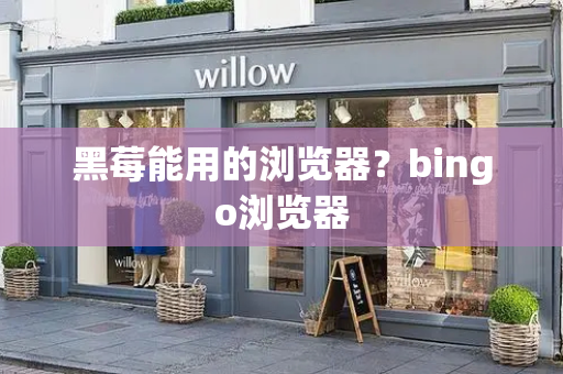 黑莓能用的浏览器？bingo浏览器