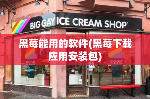 黑莓能用的软件(黑莓下载应用安装包)-第1张图片-星选测评