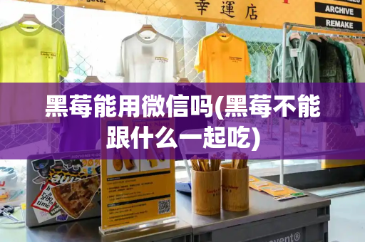 黑莓能用微信吗(黑莓不能跟什么一起吃)