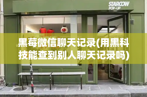 黑莓微信聊天记录(用黑科技能查到别人聊天记录吗)
