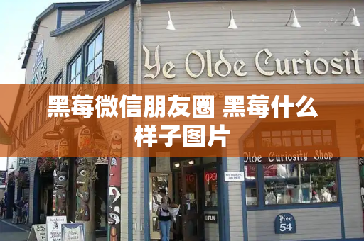 黑莓微信朋友圈 黑莓什么样子图片