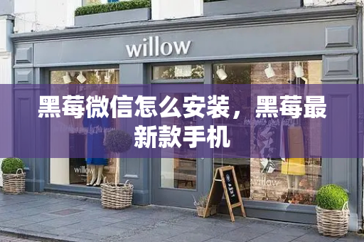 黑莓微信怎么安装，黑莓最新款手机-第1张图片-星选测评