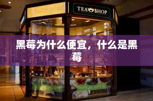 黑莓为什么便宜，什么是黑莓