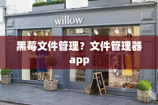 黑莓文件管理？文件管理器app