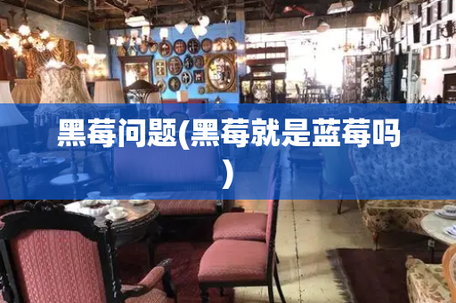 黑莓问题(黑莓就是蓝莓吗)