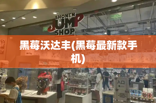 黑莓沃达丰(黑莓最新款手机)