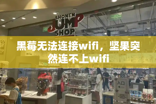 黑莓无法连接wifi，坚果突然连不上wifi