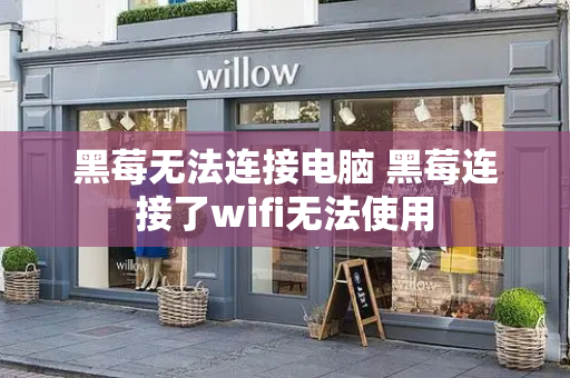 黑莓无法连接电脑 黑莓连接了wifi无法使用-第1张图片-星选测评