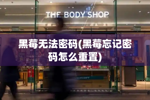 黑莓无法密码(黑莓忘记密码怎么重置)