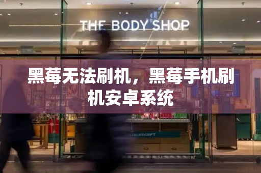黑莓无法刷机，黑莓手机刷机安卓系统-第1张图片-星选测评