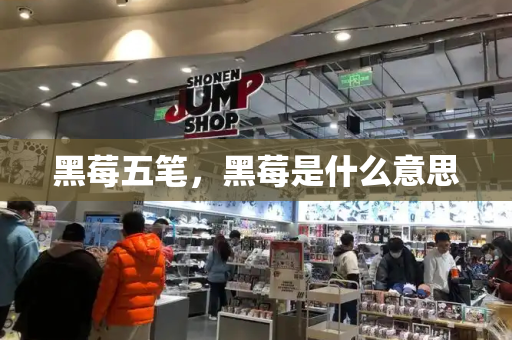 黑莓五笔，黑莓是什么意思-第1张图片-星选测评