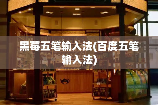 黑莓五笔输入法(百度五笔输入法)