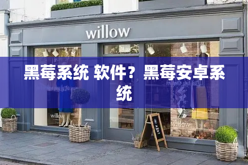 黑莓系统 软件？黑莓安卓系统-第1张图片-星选测评