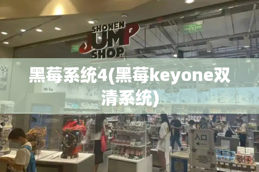 黑莓系统4(黑莓keyone双清系统)