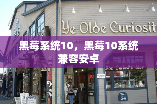 黑莓系统10，黑莓10系统兼容安卓-第1张图片-星选测评