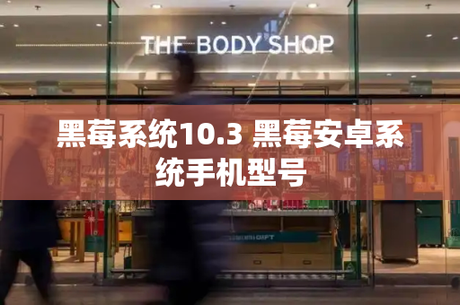 黑莓系统10.3 黑莓安卓系统手机型号-第1张图片-星选测评