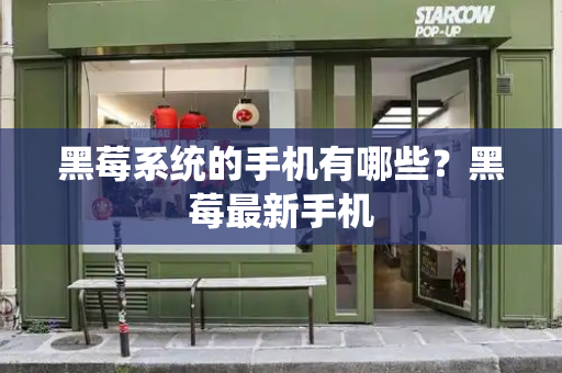黑莓系统的手机有哪些？黑莓最新手机-第1张图片-星选测评