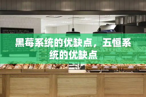 黑莓系统的优缺点，五恒系统的优缺点