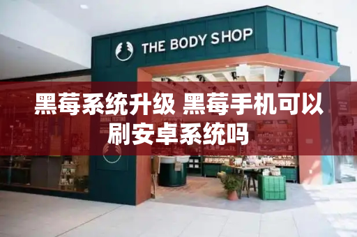 黑莓系统升级 黑莓手机可以刷安卓系统吗-第1张图片-星选测评