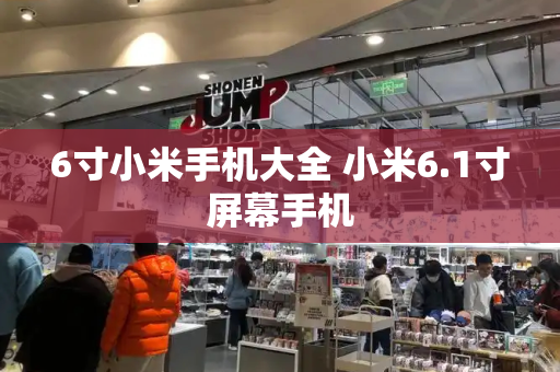 6寸小米手机大全 小米6.1寸屏幕手机