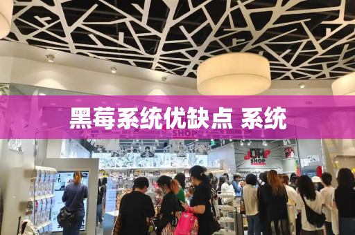 黑莓系统优缺点 系统-第1张图片-星选测评