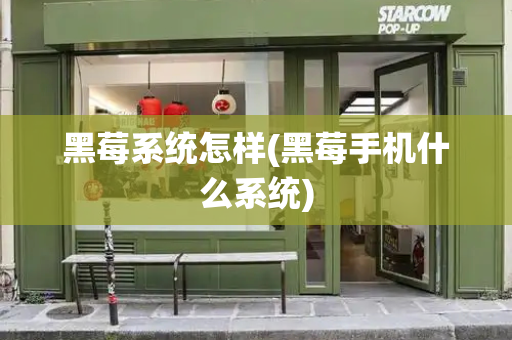 黑莓系统怎样(黑莓手机什么系统)-第1张图片-星选测评