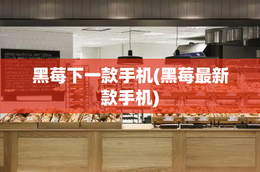 黑莓下一款手机(黑莓最新款手机)-第1张图片-星选测评