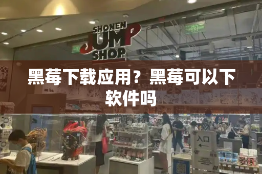 黑莓下载应用？黑莓可以下软件吗-第1张图片-星选测评