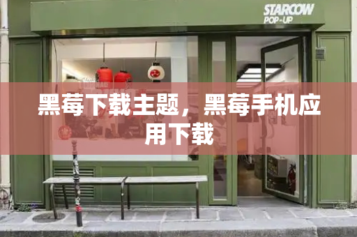 黑莓下载主题，黑莓手机应用下载