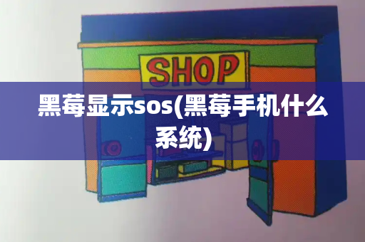 黑莓显示sos(黑莓手机什么系统)-第1张图片-星选测评
