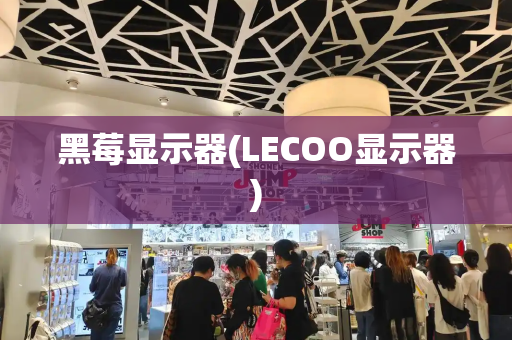 黑莓显示器(LECOO显示器)-第1张图片-星选测评