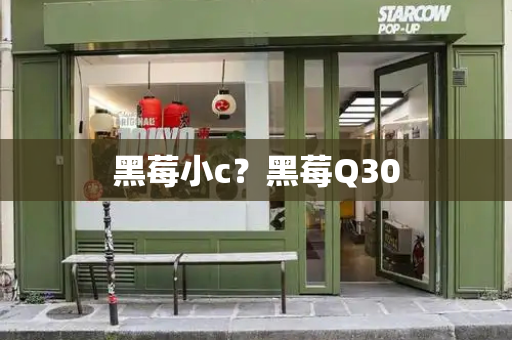 黑莓小c？黑莓Q30-第1张图片-星选测评