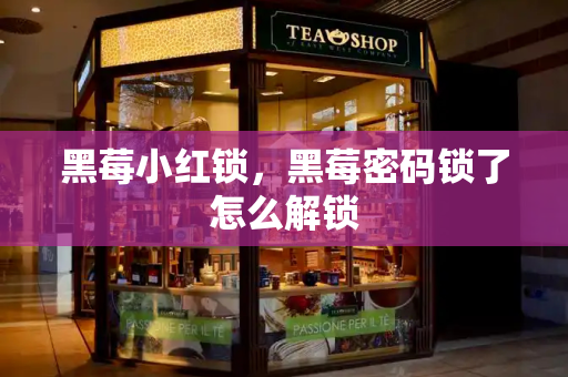黑莓小红锁，黑莓密码锁了怎么解锁