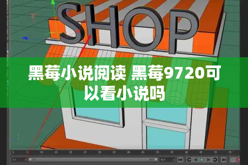 黑莓小说阅读 黑莓9720可以看小说吗