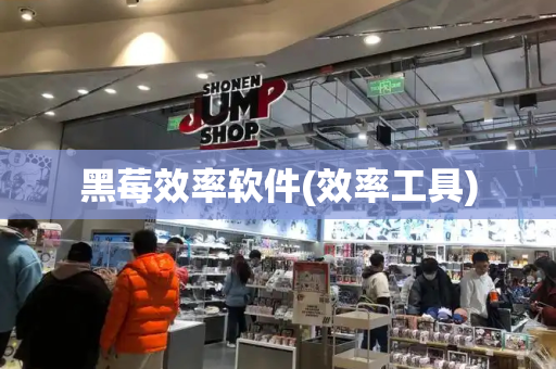 黑莓效率软件(效率工具)